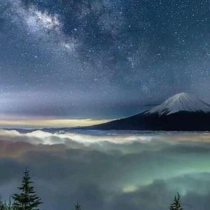 Meet your Posher, Edwin